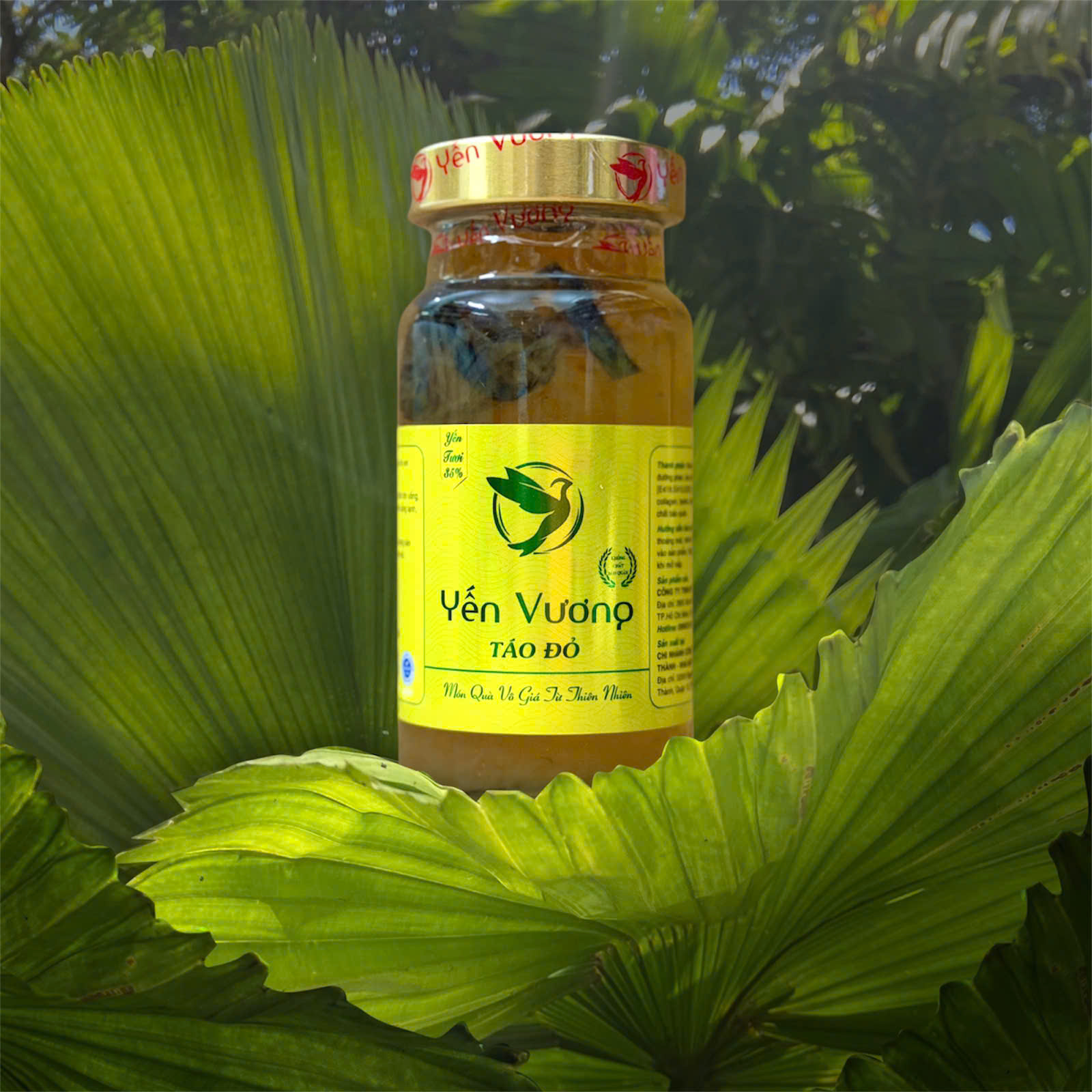 Hũ yến Vương 140ml Táo Đỏ